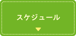 スケジュール