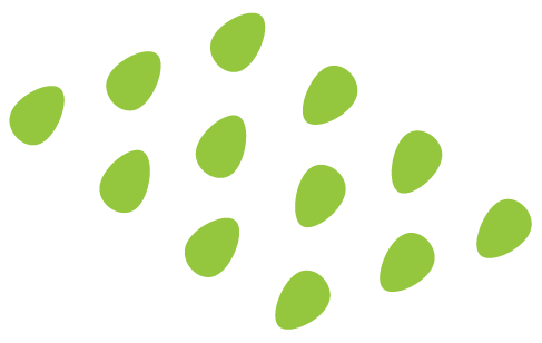 deco-green